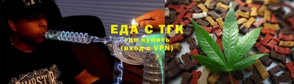индика Абинск