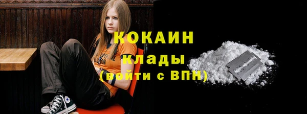 индика Абинск