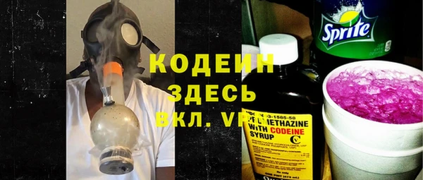 индика Абинск